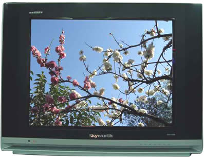 创维CRT电视报修电话0755-36989889